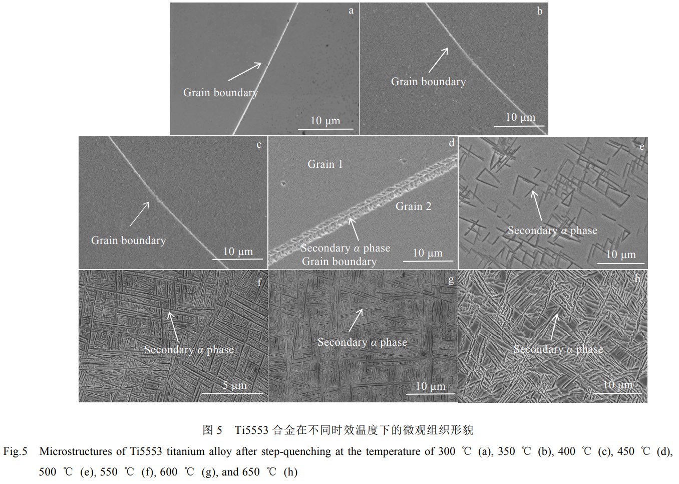 1768822542688276.jpg 5.jpg